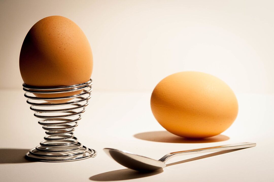 eggs in protein diet